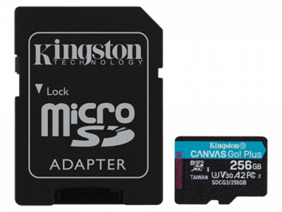 MEMORIJSKA KARTICA MICRO SDCG3/256GB
