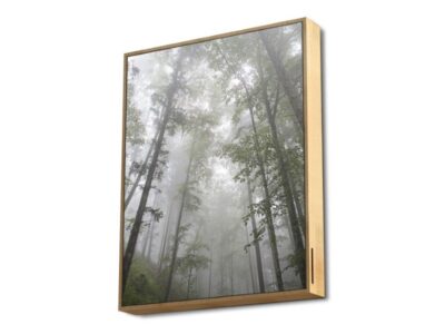 ZVUČNIK BLUETOOTH ENERGY FRAME SPEAKER FOREST