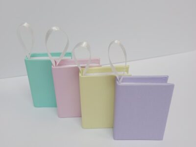 MINI BOOK PRIVEZAK 3950