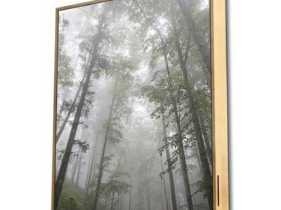 ZVUČNIK BLUETOOTH ENERGY FRAME SPEAKER FOREST