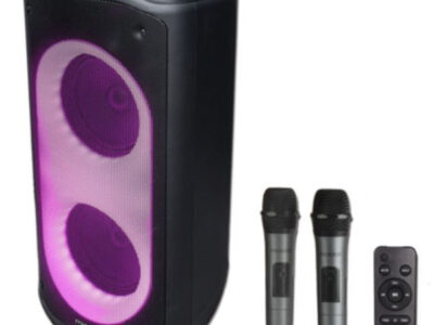 ZVUČNIK KARAOKE PT802W MICROLAB