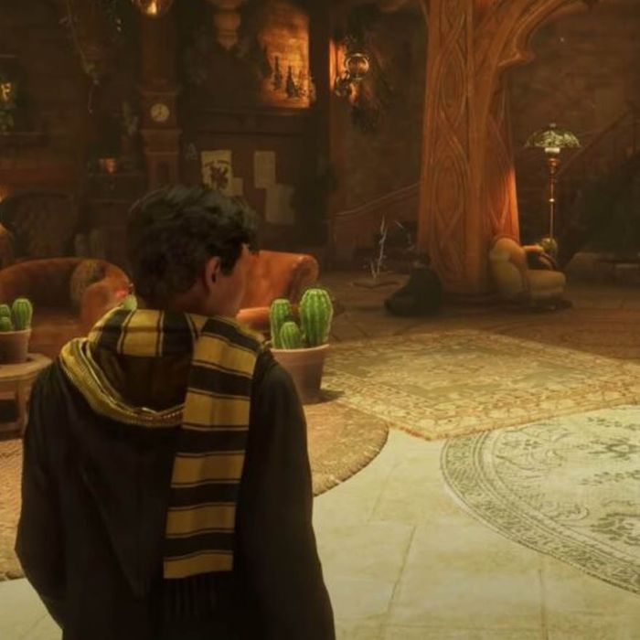 IGRICA ZA PS5 HOGWARTS LEGACY