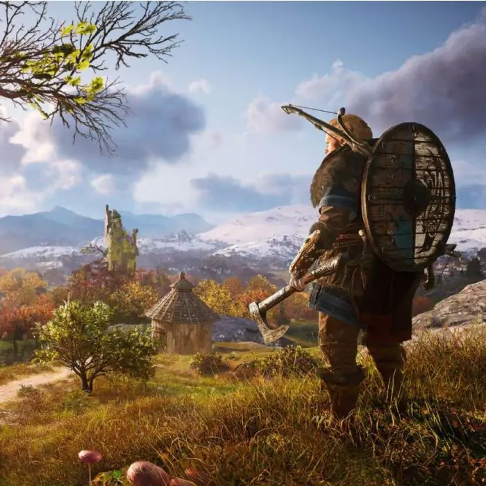 IGRICA ZA PS4 ASSASSIN'S CREED VALHALLA