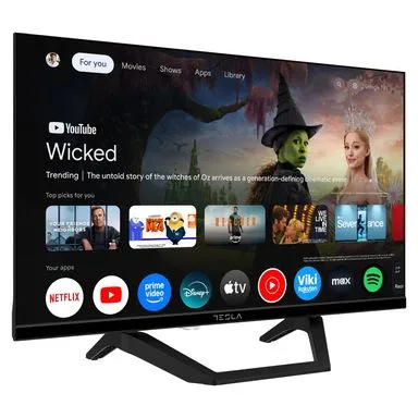 TV 24E655BHS/D-LED 24 TESLA